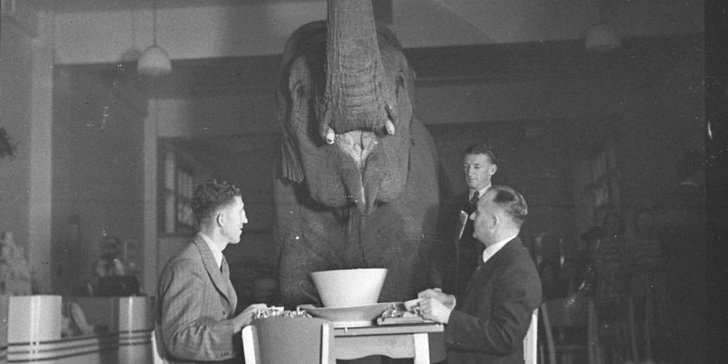 tumblr_nfps6yStNE1sfie3io1_1280-1024×781