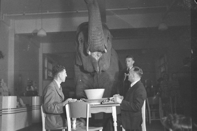 tumblr_nfps6yStNE1sfie3io1_1280-1024×781